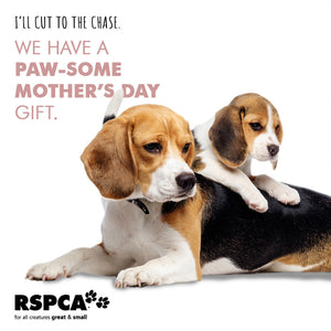 Mother's Day eCard - Dogs