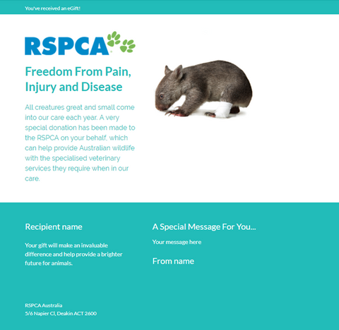 Freedom From Pain, Injury and Disease eCard