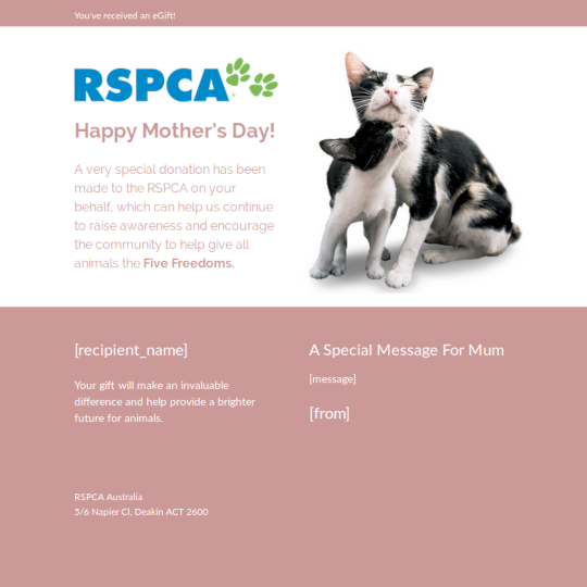 Mother's Day eCard - Cats