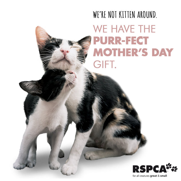 Mother's Day eCard - Cats