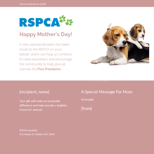Mother's Day eCard - Dogs